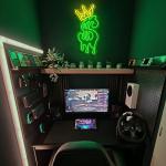 Neon Dollar Sign Light for Man Cave Decor