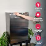 Frigidaire 4.5 Cu Ft Stainless Steel Fridge