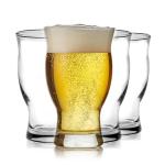 Nucleated Pint Glass Set for Beer Lovers