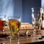 Nucleated Pint Glass Set for Beer Lovers