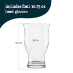 Nucleated Pint Glass Set for Beer Lovers