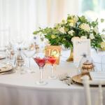 40 Pack Plastic Martini Glasses for Any Celebration