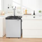VEVOR Dual Tap Beer Kegerator with CO2 Tank