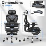 Ergonomic Mesh Office Chair with Lumbar Support