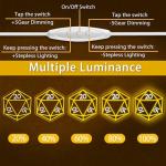 LED DND Dice Neon Sign for Game Room