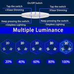 Neon DND Dice Game LED Light Sign