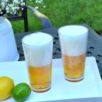 Unbreakable 22 Ounce Plastic Beer Glasses - 6 Pack