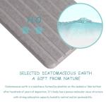 Diatomite Coasters for Home and Man Cave