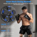 Interactive Wall-Mounted Boxing Training Machine