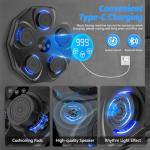 Interactive Wall-Mounted Boxing Training Machine