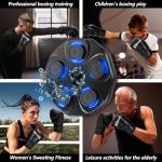 Interactive Wall-Mounted Boxing Training Machine