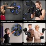 Interactive Wall-Mounted Boxing Training Machine