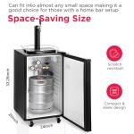 Frigidaire 6.1 Cu Ft Stainless Steel Kegerator