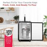 Frigidaire 6.1 Cu Ft Stainless Steel Kegerator