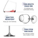 Italian Red Wine Glasses Set of 4 - 18 Ounce