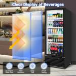 Velieta 15 Cu. Ft. Glass Door Beverage Cooler