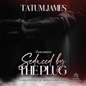 Seduced by the Plug: Man Cave Essential