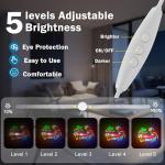 Neon Beer Parrot Palm Tree Wall Sign