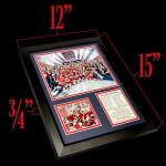 Florida Panthers 2024 NHL Champions Framed Wall Art