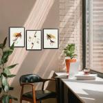 Framed Fishing Lure Wall Art Set – 3 Pieces