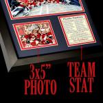 Florida Panthers 2024 NHL Champions Framed Wall Art