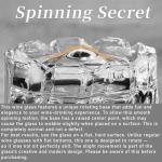 Spinning Whiskey Glasses Set of 2