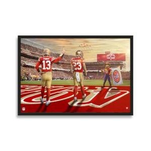 NFL San Francisco 49ers Framed Wall Art 14"x20