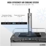 Single Tap Beer Kegerator with CO2 Tank