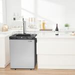 Single Tap Beer Kegerator with CO2 Tank