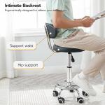 Adjustable Rolling Stool for Home or Salon