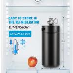 Mini Keg Tap System for Parties and Craft Beer