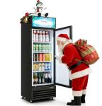 BODEGACOOLER 255L Beverage Refrigerator for Man Cave