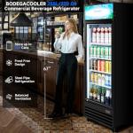 BODEGACOOLER 255L Beverage Refrigerator for Man Cave