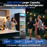 BODEGACOOLER 255L Beverage Refrigerator for Man Cave