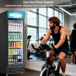 BODEGACOOLER 255L Beverage Refrigerator for Man Cave