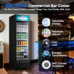 BODEGACOOLER 255L Beverage Refrigerator for Man Cave