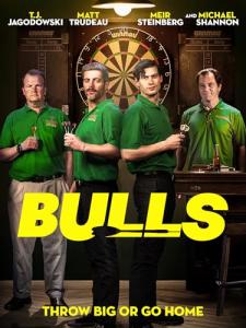 Bulls Fan Gear for Your Man Cave