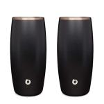 SNOWFOX Insulated Stainless Steel Beer Glasses - Set of 2