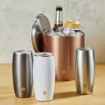 SNOWFOX Insulated Stainless Steel Beer Glasses - Set of 2