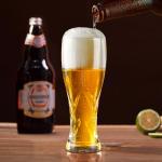 Set of 2 17 oz Craft Beer Glasses