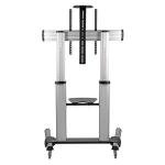 Mobile TV Stand with Mount for Large Screens