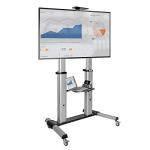 Mobile TV Stand with Mount for Large Screens