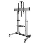 Mobile TV Stand with Mount for Large Screens