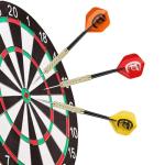 18 Pack Steel Tip Darts Set - 18 Grams