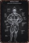 Vintage Artworkout Muscle Exercise Metal Tin Sign - Retro Workout Posters For Home Gym Wall Plaque, Anatomy Chart With Recommended Gym Man Cave Sign 8x12 Inch