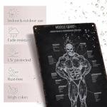 Vintage Artworkout Muscle Exercise Metal Tin Sign - Retro Workout Posters For Home Gym Wall Plaque, Anatomy Chart With Recommended Gym Man Cave Sign 8x12 Inch