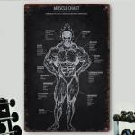 Vintage Artworkout Muscle Exercise Metal Tin Sign - Retro Workout Posters For Home Gym Wall Plaque, Anatomy Chart With Recommended Gym Man Cave Sign 8x12 Inch