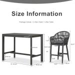 PURPLE LEAF 3 Pieces Outdoor Counter Height Bar Stools Set Patio Metal Modern Wicker Rattan Bar Chairs and Dining Bistro Bar Table for Balcony Garden Indoor Kitchen Outside Gray