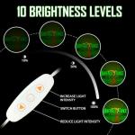 Jeanchrl Buffalo Neon Sign Trace Distillery Whiskey Neon Lights for Bedroom Home Business Club Pub Neon Bar Sign for Man Cave Light up Sign for Wall Decor Gift