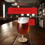 Spiegelau Classic Tulip Beer Glass, European-Made Crystal Drinking Glasses Perfect for Belgian Ales, IPA Beers, Cocktails, Sodas, Beverages, Smoothies, Home Bar Accessories, 15.5 oz, Set of 6